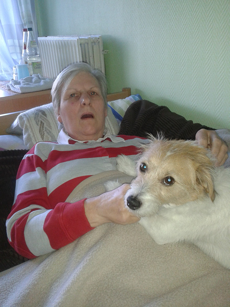 Eindruck aus dem Haus Waldfrieden 2013