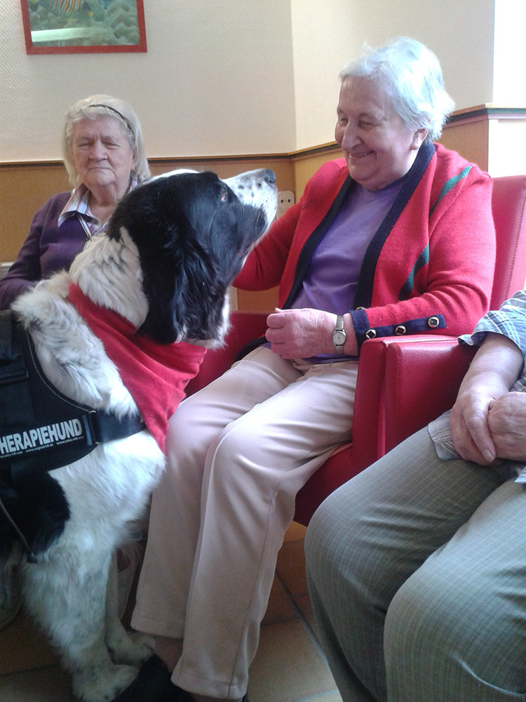 Eindruck aus dem Haus Waldfrieden 2014