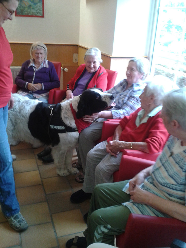 Eindruck aus dem Haus Waldfrieden 2014