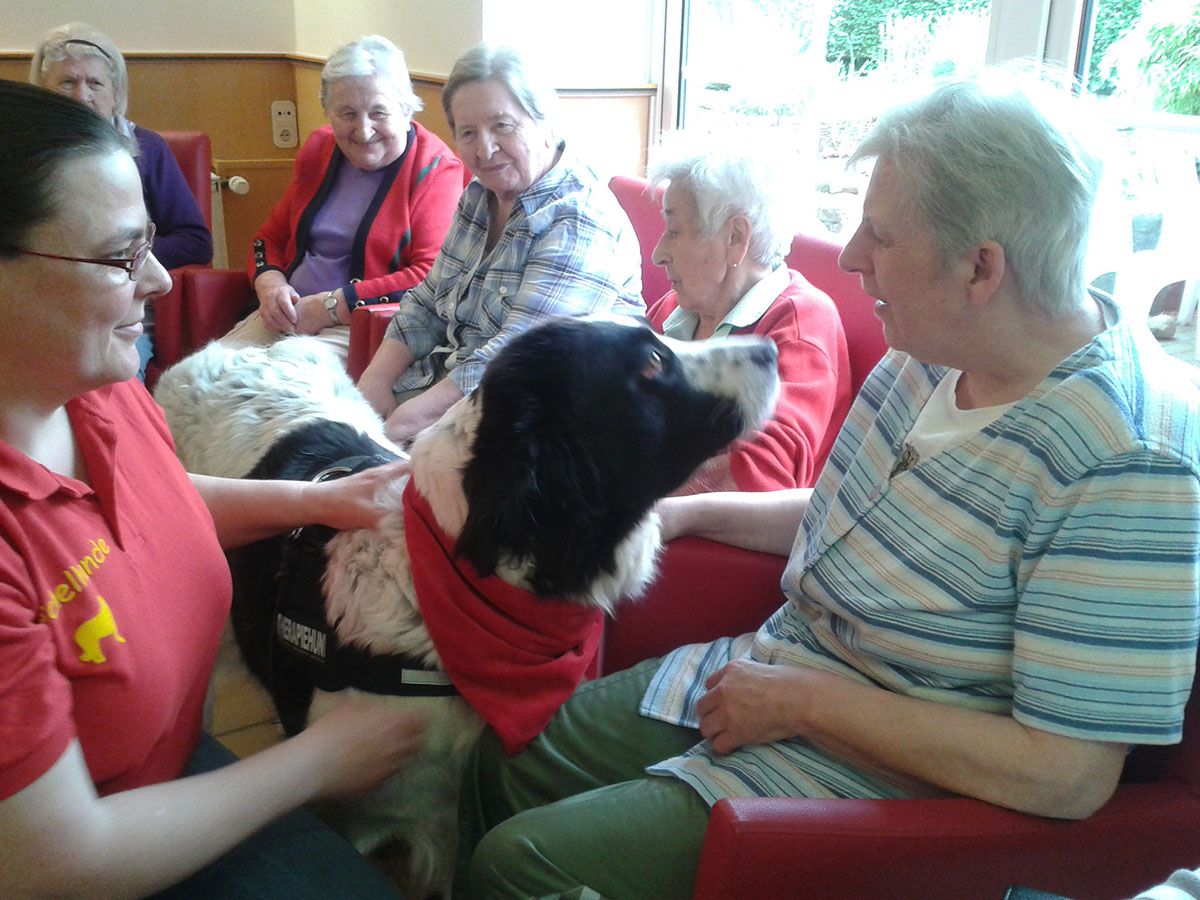 Eindruck aus dem Haus Waldfrieden 2014