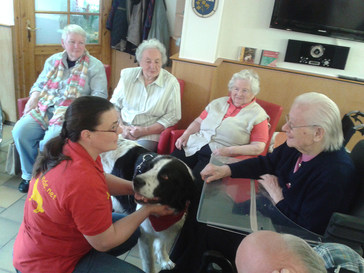 Eindruck aus dem Haus Waldfrieden 2014