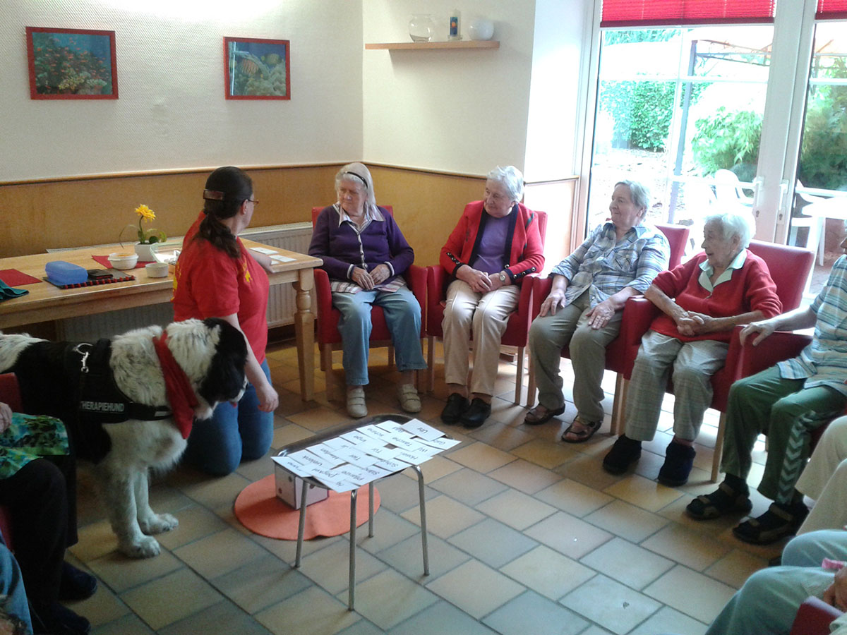 Eindruck aus dem Haus Waldfrieden 2014