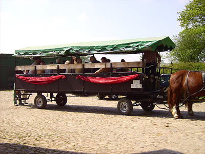 Kutschfahrt mit Bewohnern