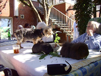 Tiertherapie im Haus Waldfrieden